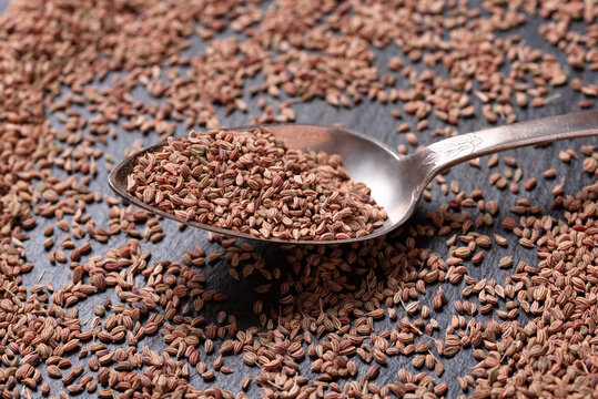 Dryed Ajwain seed for Asian and Indian cooking