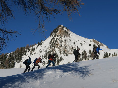 Ski de randonn&eacute;e alpinisme dans les montagnes des Alpes l'hiver dans la neige avec un groupe de skieurs aguerris