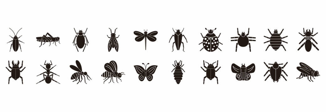 insect icon set, insect vector set sign symbol