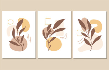 Fototapeta na wymiar Set of three abstract botanical posters, vector illustration