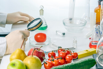 A food safety inspector checks vegetables and fruits from the market.