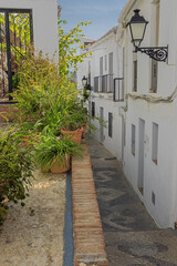 A narrow street decorated with plants in the Moorish quarter of Frigiliana