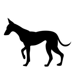 black silhouette dog standing isolated, vector