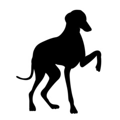 black silhouette dog isolated, vector