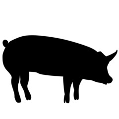 black silhouette of a pig isolated, vector