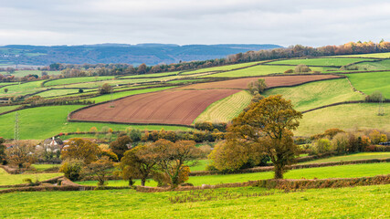 Meadows and Fields over Devon in the colors of fall, England, Europe