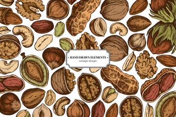 Colored elements design with cashew, peanut, pistachio, hazelnut, almond, walnut