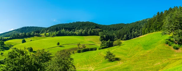 Fototapeten Deutschland, XXL-Panoramablick Naturlandschaft Schwarzwald Urlaub Tourismusregion am Waldrand im Sommer mit Bäumen und blauem Himmel © Simon