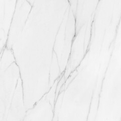 white soft veined marble background