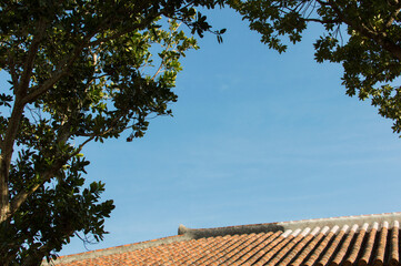 Fototapeta na wymiar 快晴の空と沖縄の古民家の屋根と枝葉