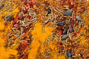 variety spices and herbs on background. spices texture. top view