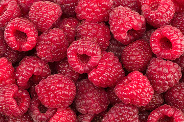 ripe raspberry background. raspberry texture. top view