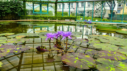 Botanic garden in Liberec, the city of the Czech Republic