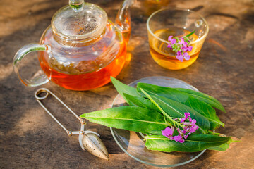 cup of herbal tea with fresh leaves and flowers Matthiola incana, Brompton stock, common stock, hoary stock, ten-week stock, and gilly-flower tea with fresh quotes, which can give an antiseptic effect