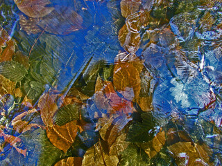 sztuka, tekstura, barwa, woda, akwarel, barwnie, deseń, artystyczne, zima, zmarzlina, zamrożone liście