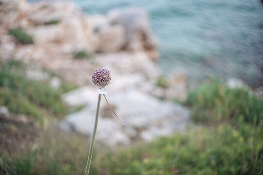 Summer time in Santa Maria di leuca, the southern point of Puglia, Italy