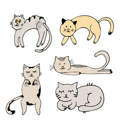 Set characters. Draw vector illustration character collection cute cats. Doodle cartoon style.