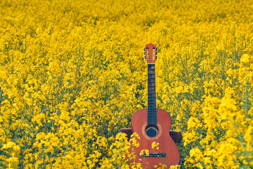 guitar in a rapeseed field. concept inspiration creativity