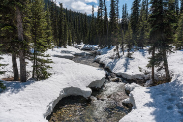 Snow covered Healy Creek in Banff, Canada