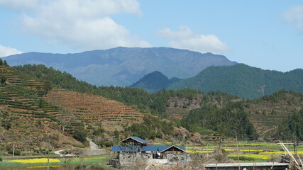 The beautiful mountains view with the green forest and flowers field in the countryside of the southern China 