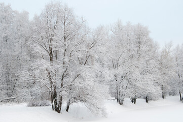 Winter landscape with a park after snowstorm