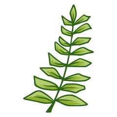 green leaf isolated on white background