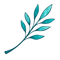 illustration of leaves Hand drawn Leaf 