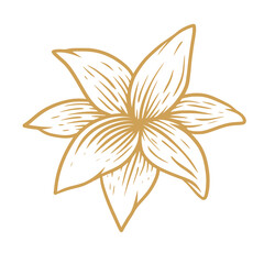 abstract floral ornament