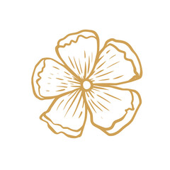 illustration of a flower