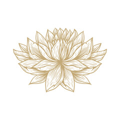 white flower isolated on white