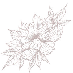 black and white flowers