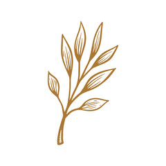 golden Hand drawn Leaf  isolated on white background