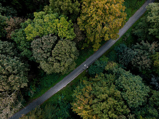 Woodland