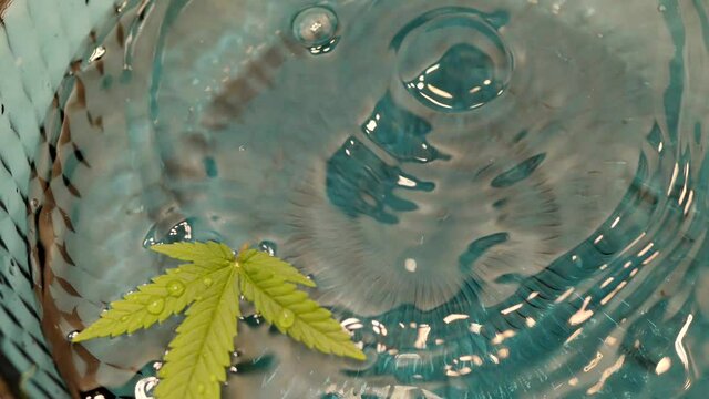 Cannabis leaf floating on water surface. CBD oil concept. 4k video