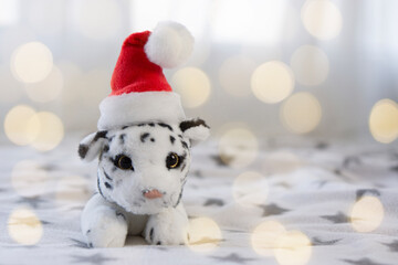 Year of the Tiger - 2022, a soft toy tiger wearing a Santa Claus hat on light background  the concept of the new year according to the eastern calendar.