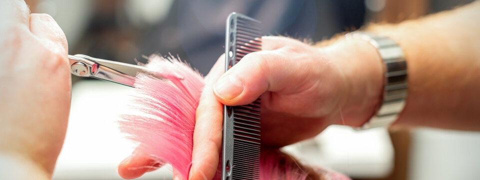 Woman having a new haircut. Male hairstylist cutting pink hair with scissors in a hair salon, close up