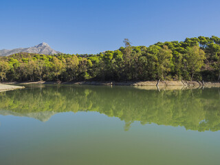 Obraz premium Lake landscape with forest and mountain in background