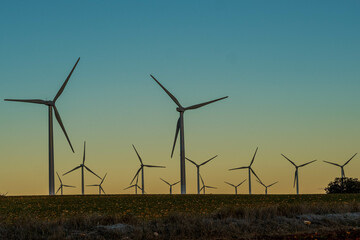 Windmills at dawn at the Cuesta Colorada wind farm in Tébar. LaMancha, Spain.