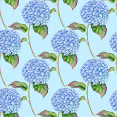 Watercolor Hydrangea seamless pattern. Hand painted blue Hortensia flower with leaves and stem on blue background. Flowering plant repeated design for wallpaper, package, fabrics, textile.