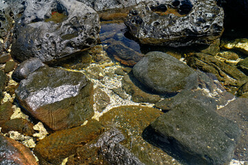 Fototapeta na wymiar rocks by the ocean