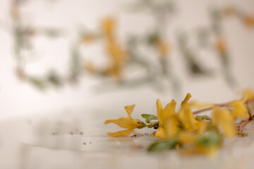 Background image with Easter cakes and eggs