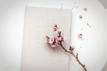 Background image with flowering twigs