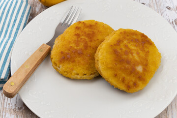 fried chicken cutlets on white plate 