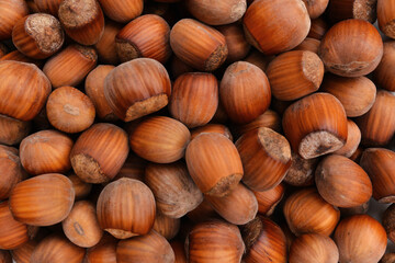 Filbert. Cobnut. Background from hazelnuts. Hazelnuts in full screen. A lot of hazelnuts on a brown background. Photo above Hazelnut nut health organic brown filbert autumn background concept. 