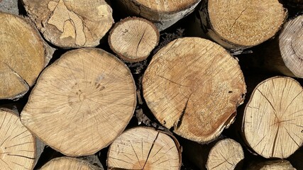 Naklejka premium Timber logs background