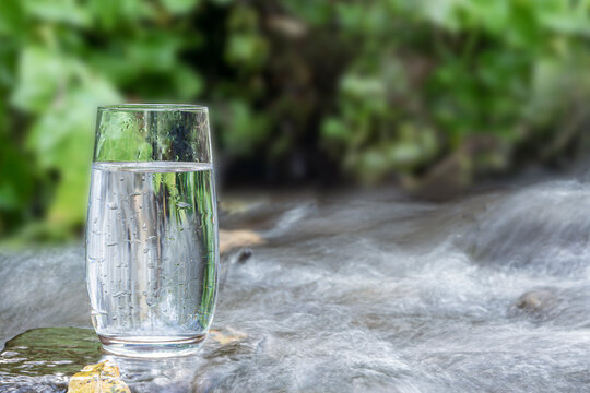 a glass of clean transparent drinking water in a transparent glass on a stone in a green forest near a stream or mountain spring. healthy food and diet, beautiful background copy space © Vladimir Razgulyaev