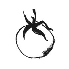 Hand-drawn ripe tomato drawing. Natural tomatoes vector Illustration. Pastel drawings of organic tomato for seed label, packaging design catchup, banner organic agriculture, vegetarian food symbol