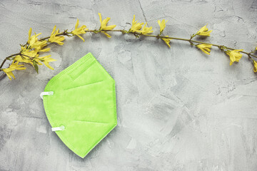 Green respiratory KN95 or FFP2 mask on gray background, and fresh yellow forsythia flowers, copy space. Spring and new rules and lockdown against coronavirus Covid 19