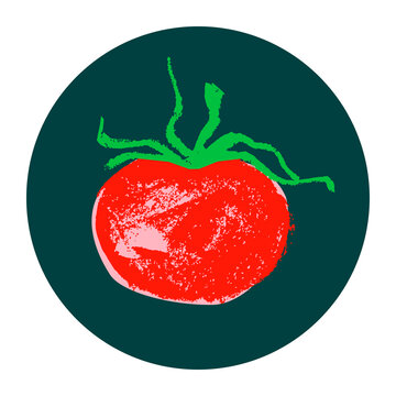 Hand-drawn ripe tomato drawing. Natural tomatoes vector Illustration. Pastel drawings of organic tomato for seed label, packaging design catchup, banner organic agriculture, vegetarian food symbol