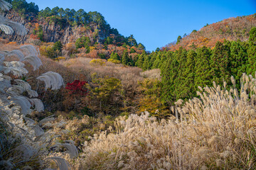 奈良　-　【屏風岩公苑の紅葉】